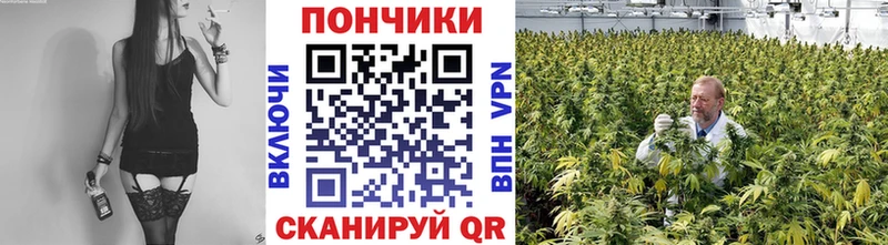 omg маркетплейс  Похвистнево  Марихуана VHQ  где найти наркотики 